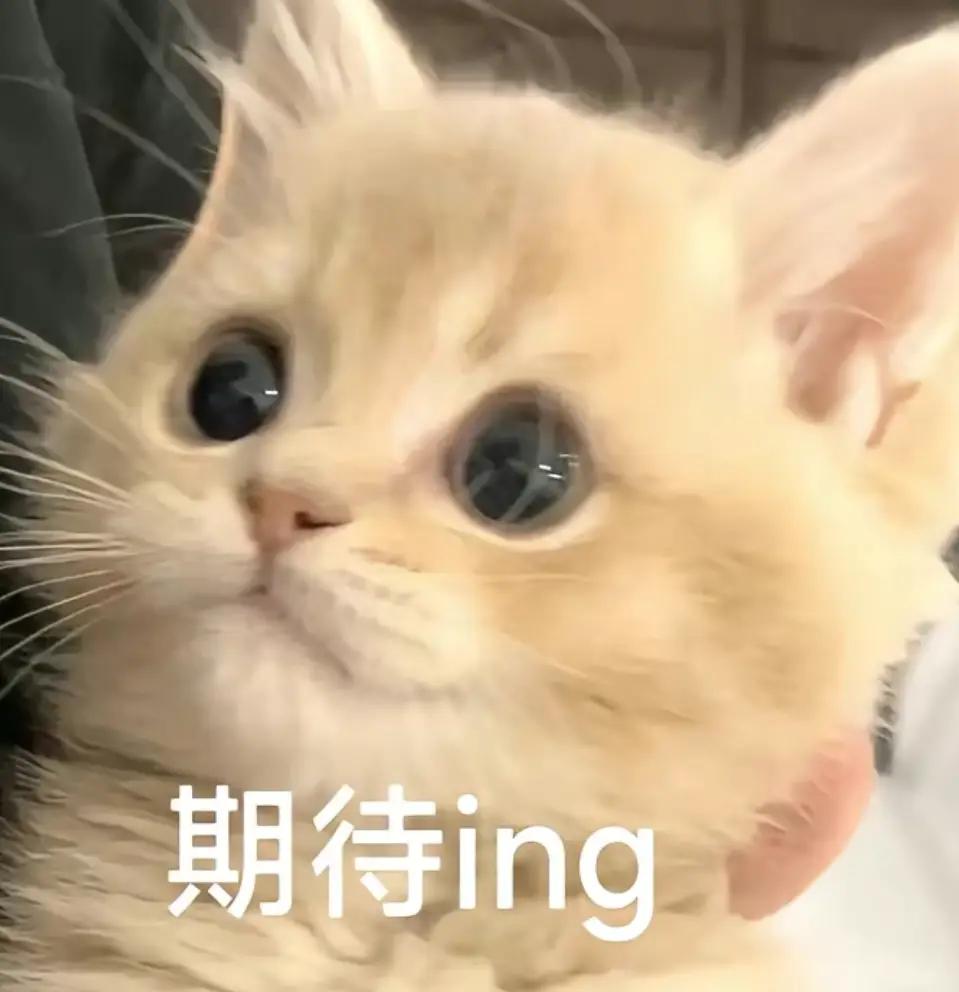 期待继续支持
