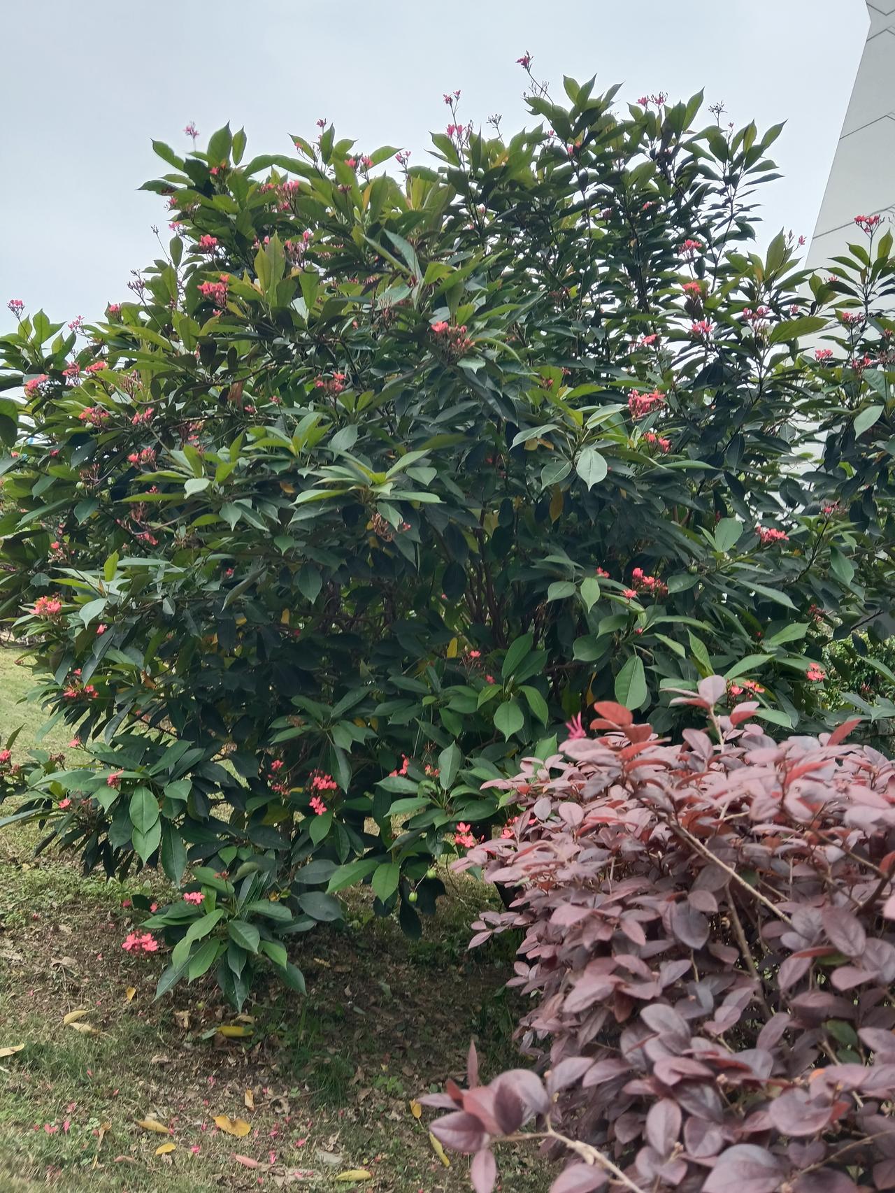 给自己一句话，你会说什么?要坚持做好每件事，不忘初心方得始终