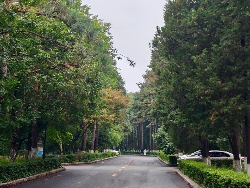 继续捐步做公益，这两天太忙了，没有大块的时间去走圈，勉强凑个数我的日常plog 