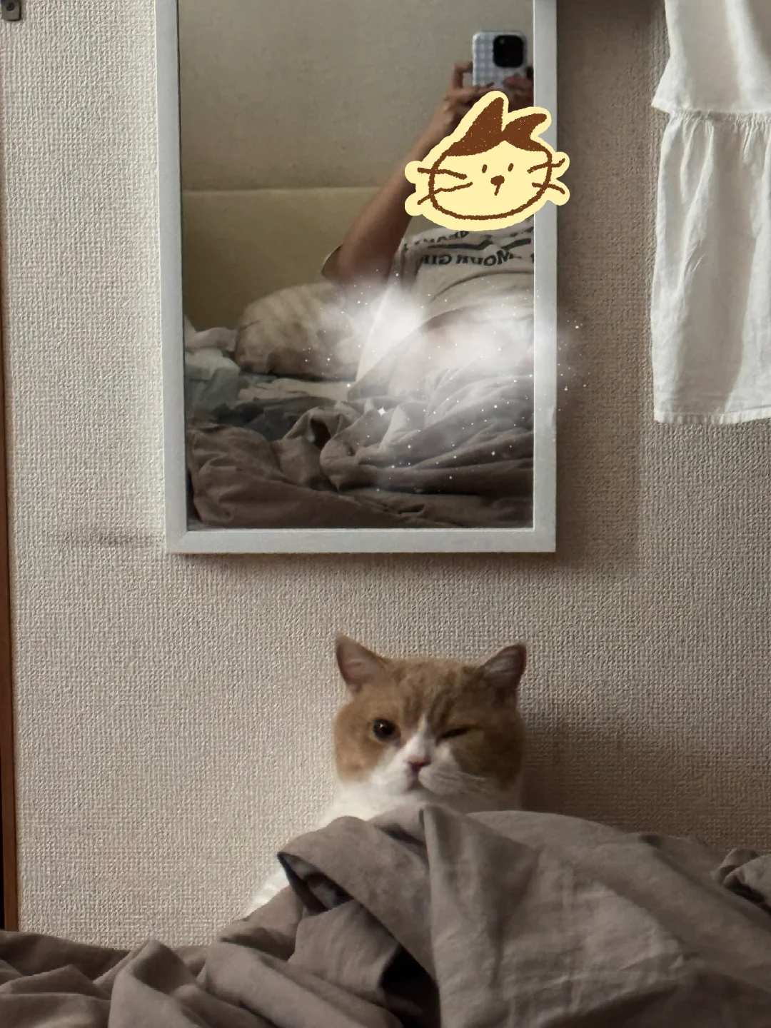 早上醒来收到小猫的wink 😉