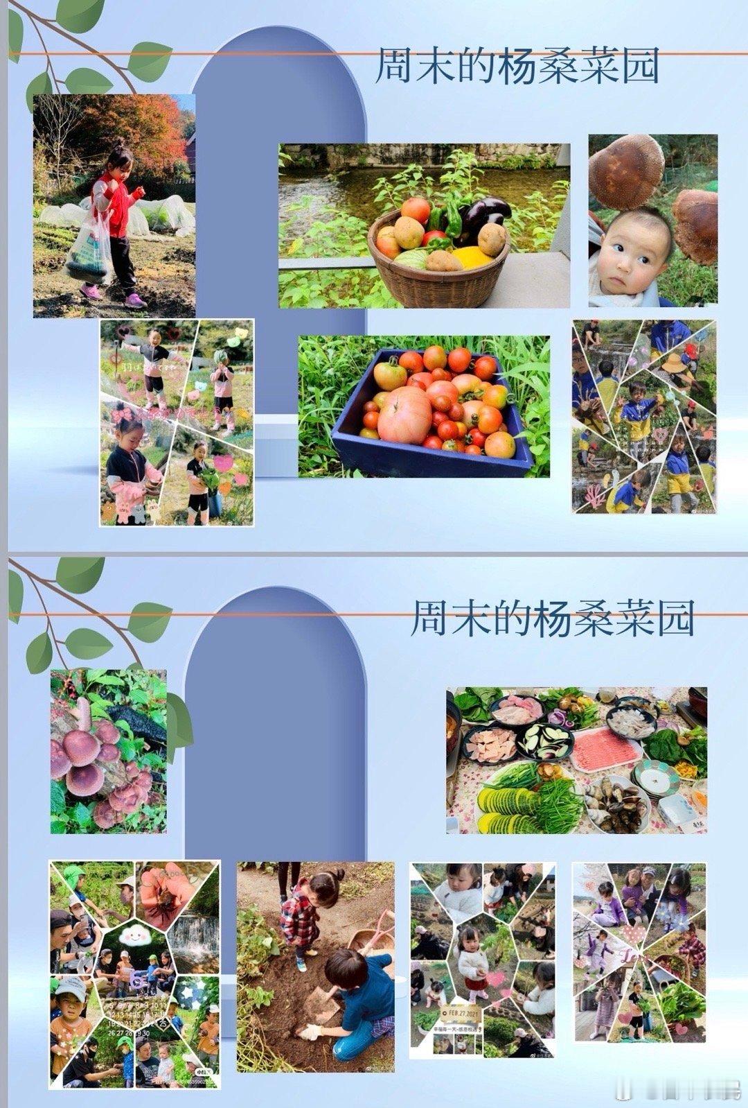农沁茶棚是位于日本京都醍醐山脚下、由华人博士杨桑（微博名“日本农民”）亲手打造的