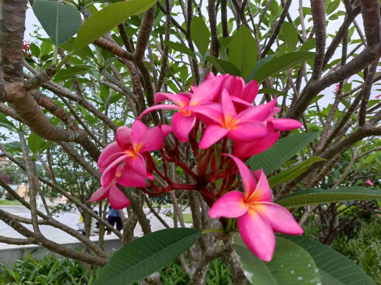 我的今日状态：🏃‍➡️运动
我这里的天气：🌤️多云
