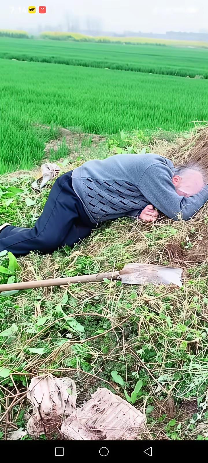 读到这个信息，泪目！一年迈的父亲非得给父母上坟，上完坟后趴在父母坟前哭泣。
网友