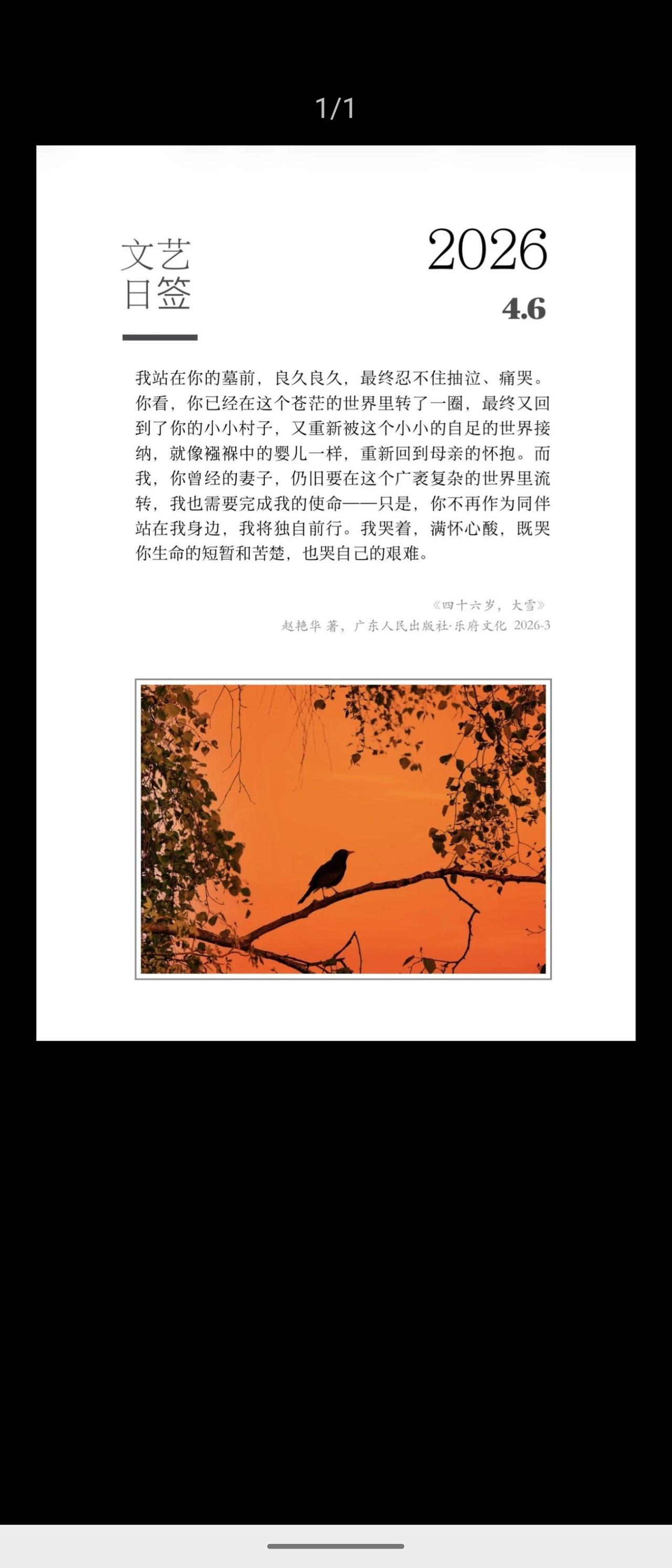 赵艳华《四十六岁，大雪》。妻子立于亡夫墓前，泣其短暂苦楚，也哭自己将独自在广阔世