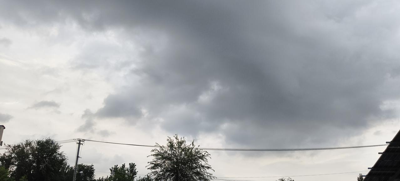 夏日生活打卡季今天晚上有大雨，应该会凉快点了！