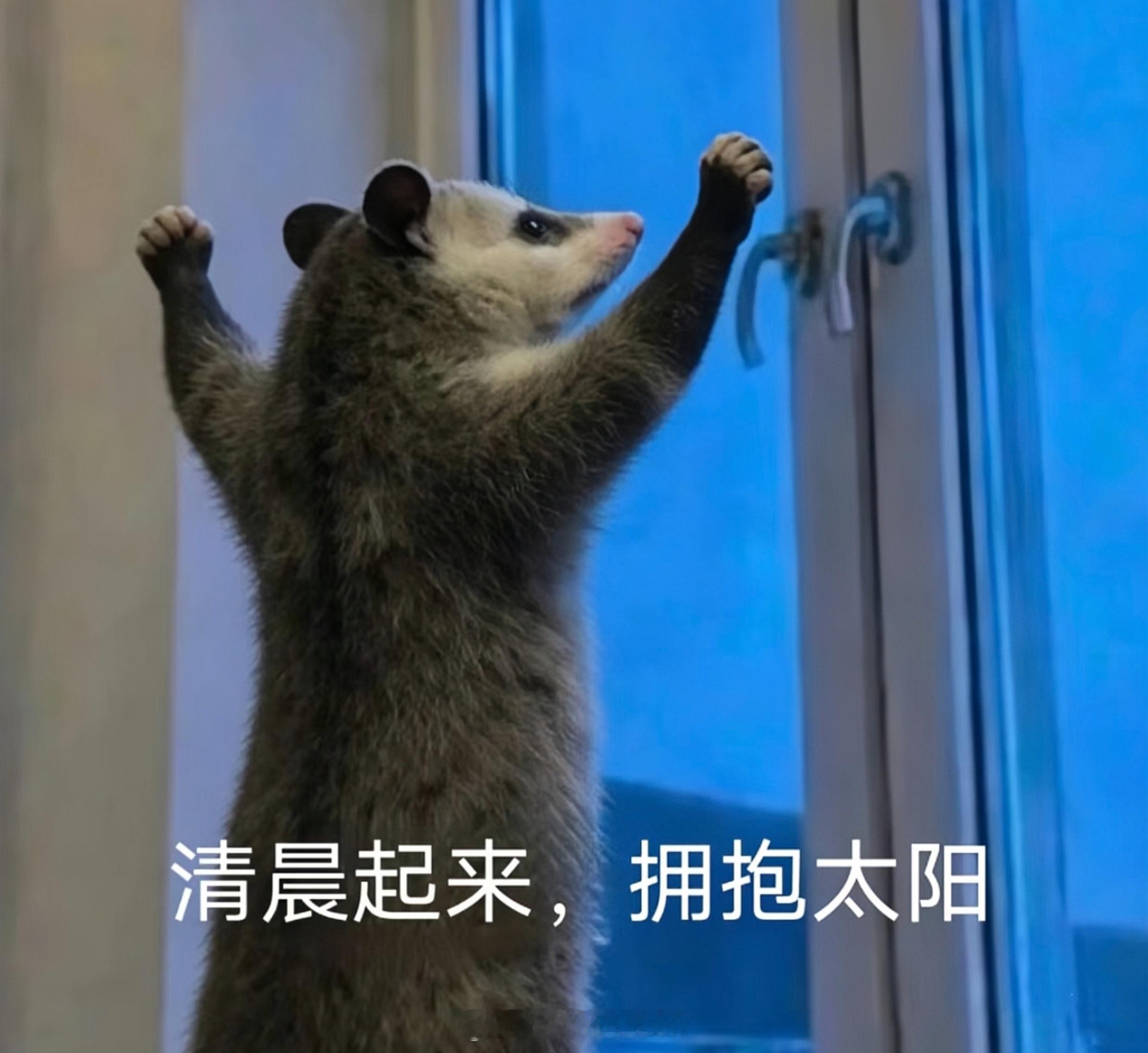 早安🌞 