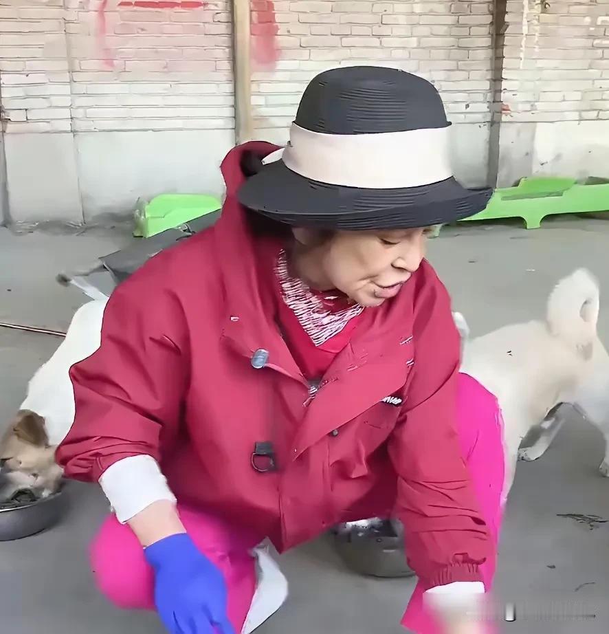 这位女演员有一个非常美丽的心灵，她从2010年就开始帮助流浪动物。如今，她在石家