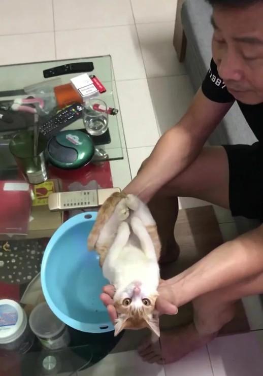 对许多新手爸妈来说，帮新生宝宝洗澡是一个极大的挑战，这时候也就只好向经验老道的爷