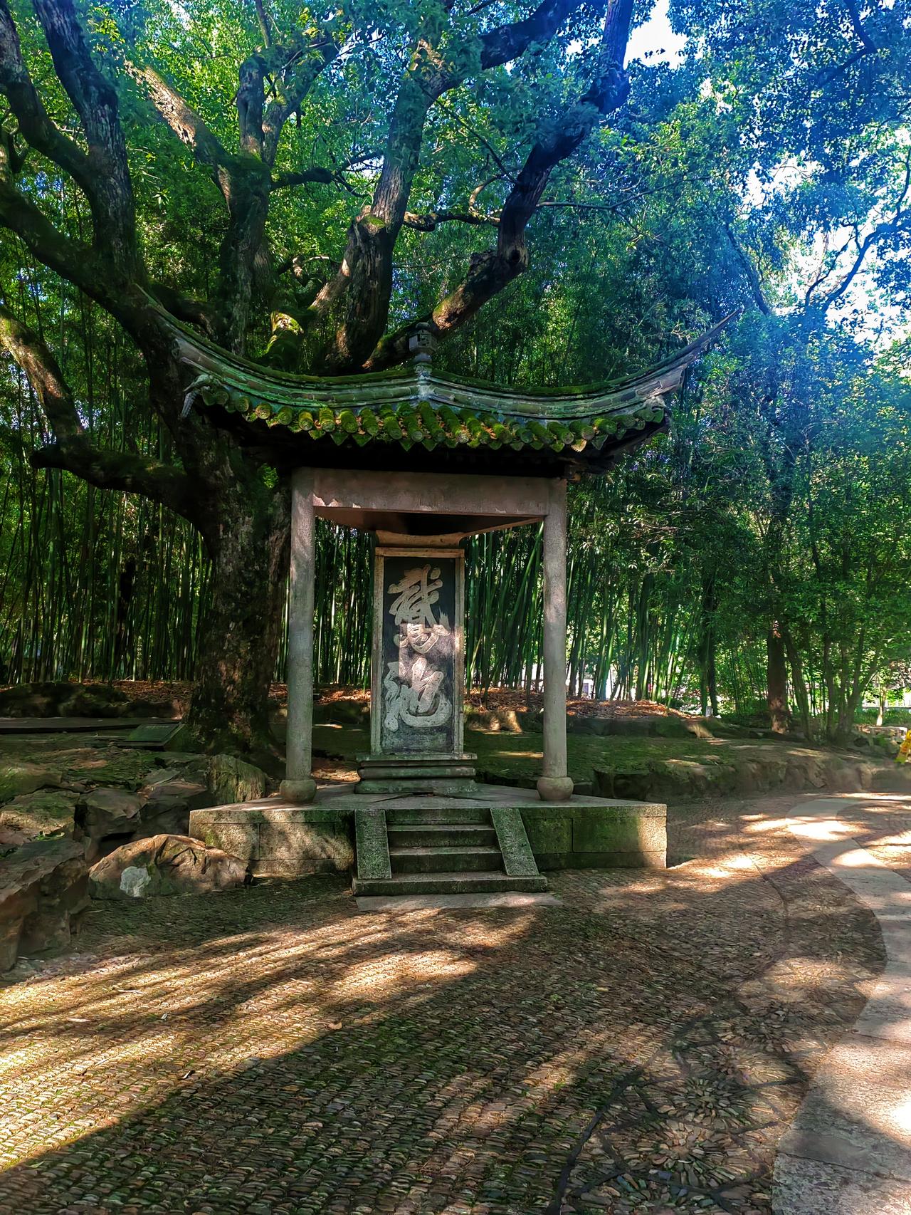 【原创】
“天下第一行书”《兰亭集序》之兰亭
浙江绍兴.兰亭
位于绍兴南十三公里