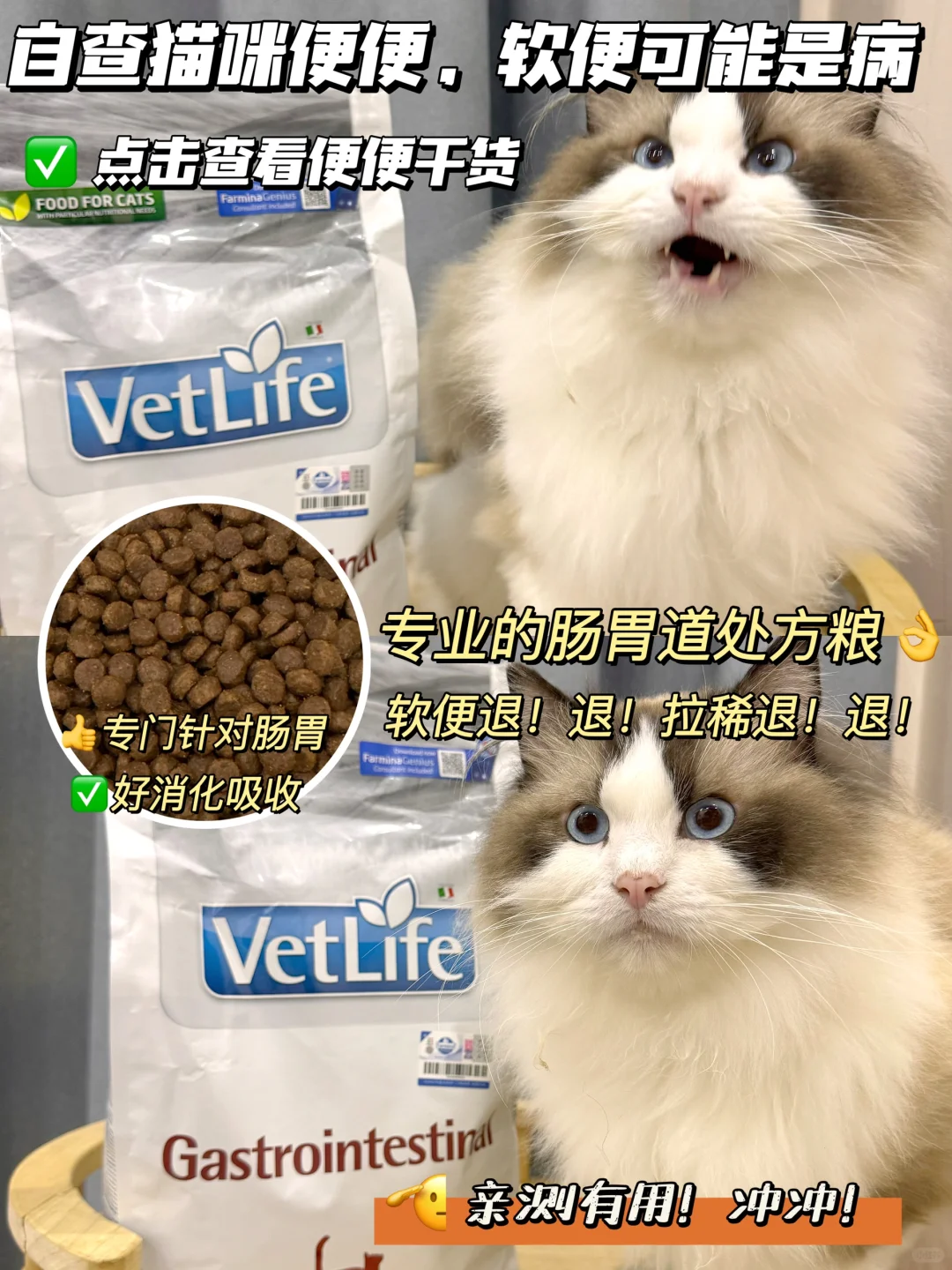 自查猫咪便便，软便可能是病！得治！看这篇～