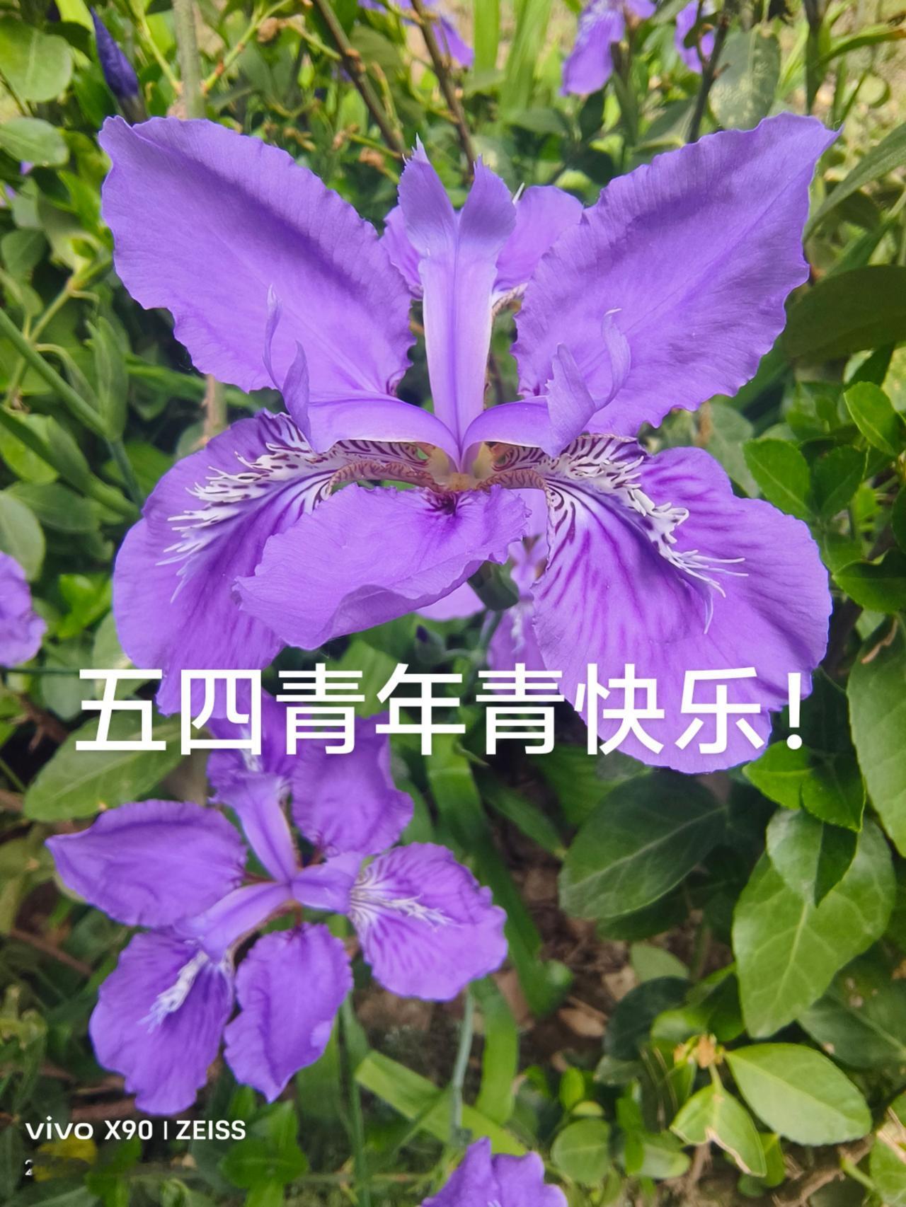 |祝青年朋友们五四青年节快乐！