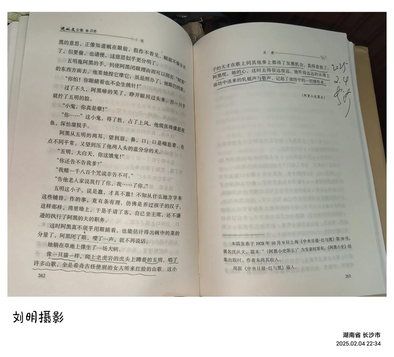 像一只猫一样，爬上老虎岩的虎头上蹲着的五明，唱了许多山歌，全是希奇古怪使别的女人