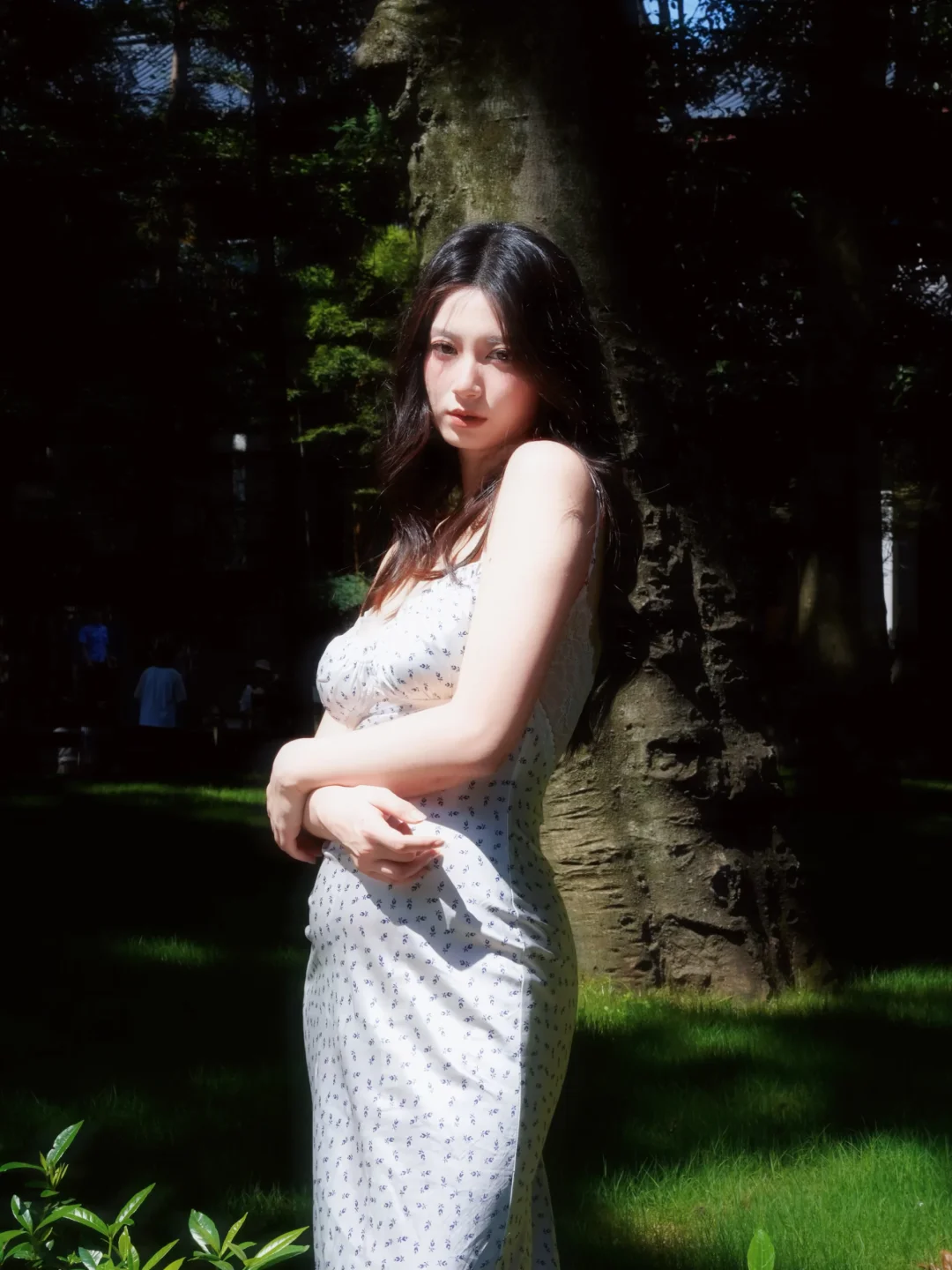 光有光的来意
