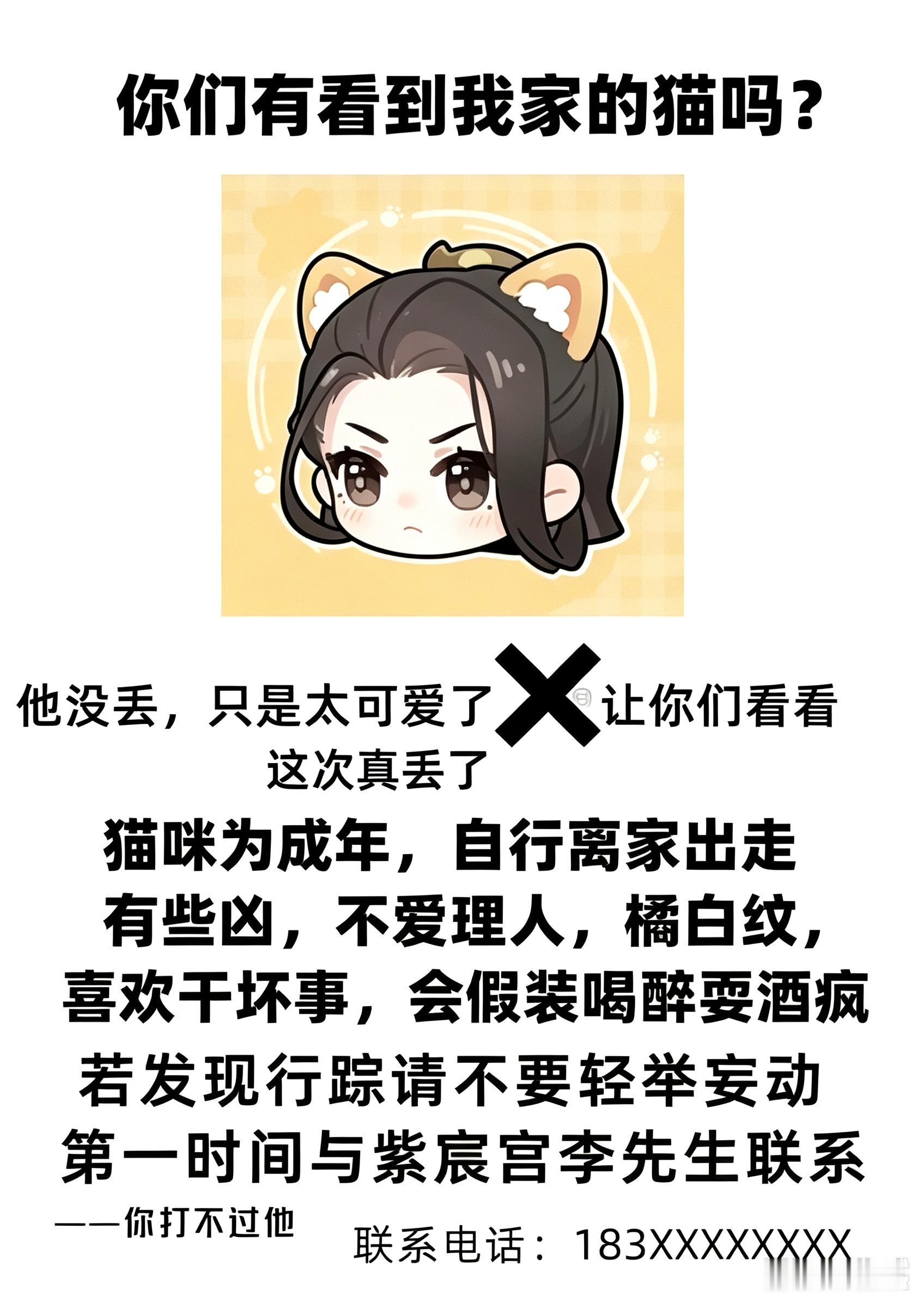 还好我有猫。 