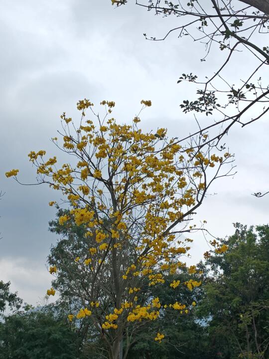 如果你上班很痛苦，但又不能辞职，可以参考