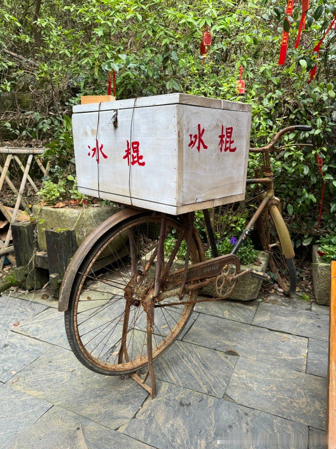 今日带娃春游 ​​​