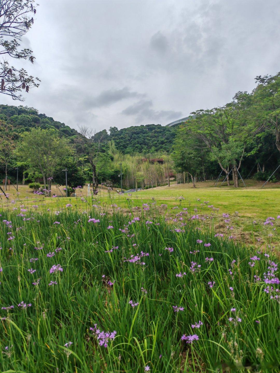 大美科学公园北翼。 深圳·科学公园