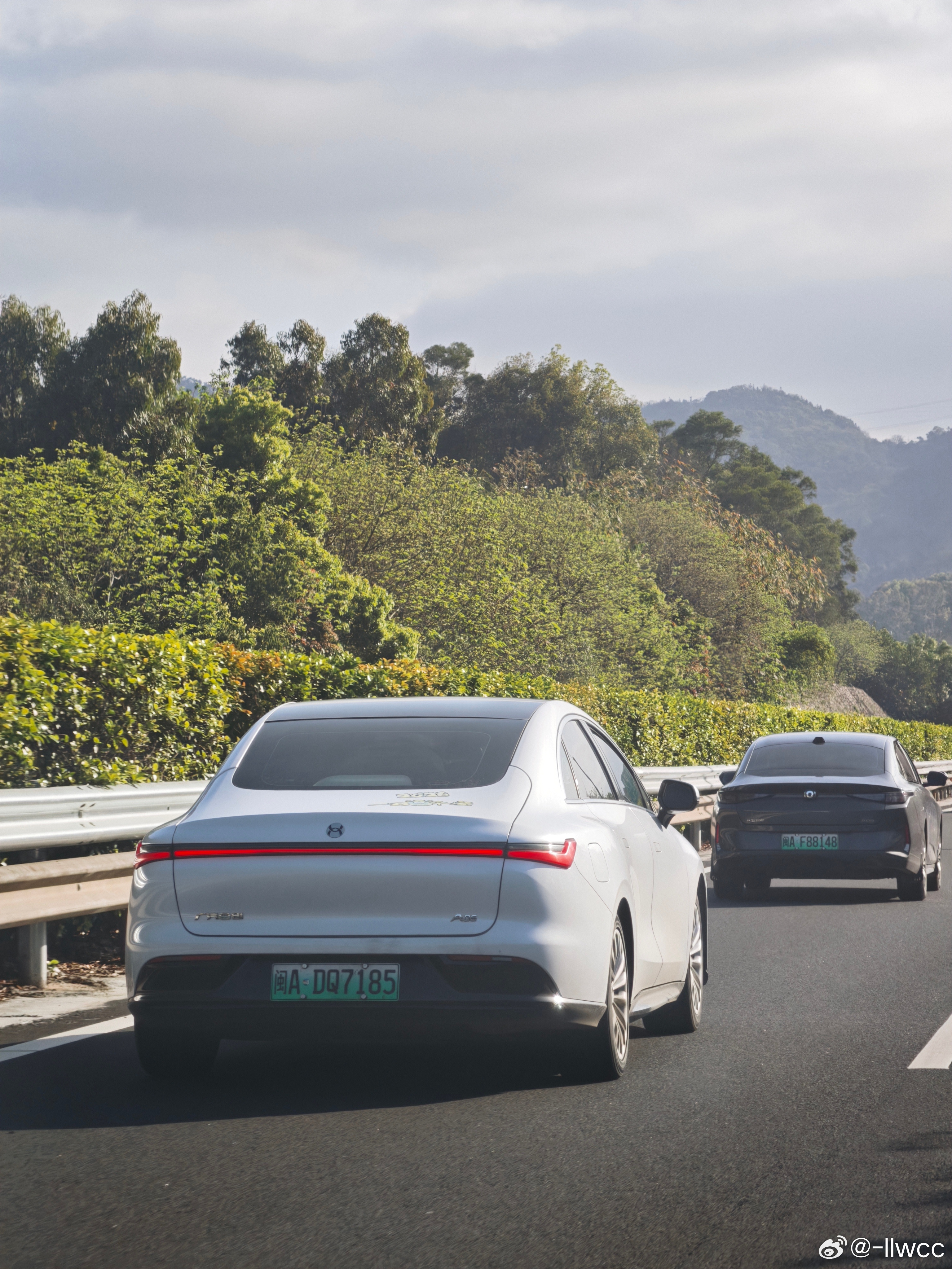 堪称五花八门禾希车 