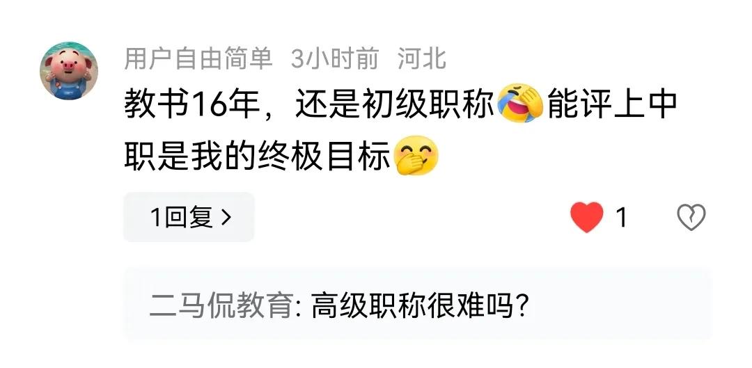 说起教师职称的时候，有网友说，他教书十六年了，还是初级职称，中级职称是他的终极目