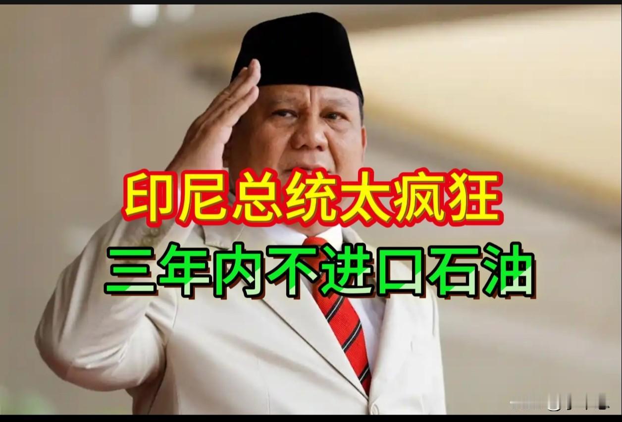 2026年8月25日，印尼总统普拉博沃在巴厘省宣布启动100吉瓦太阳能计划，放话