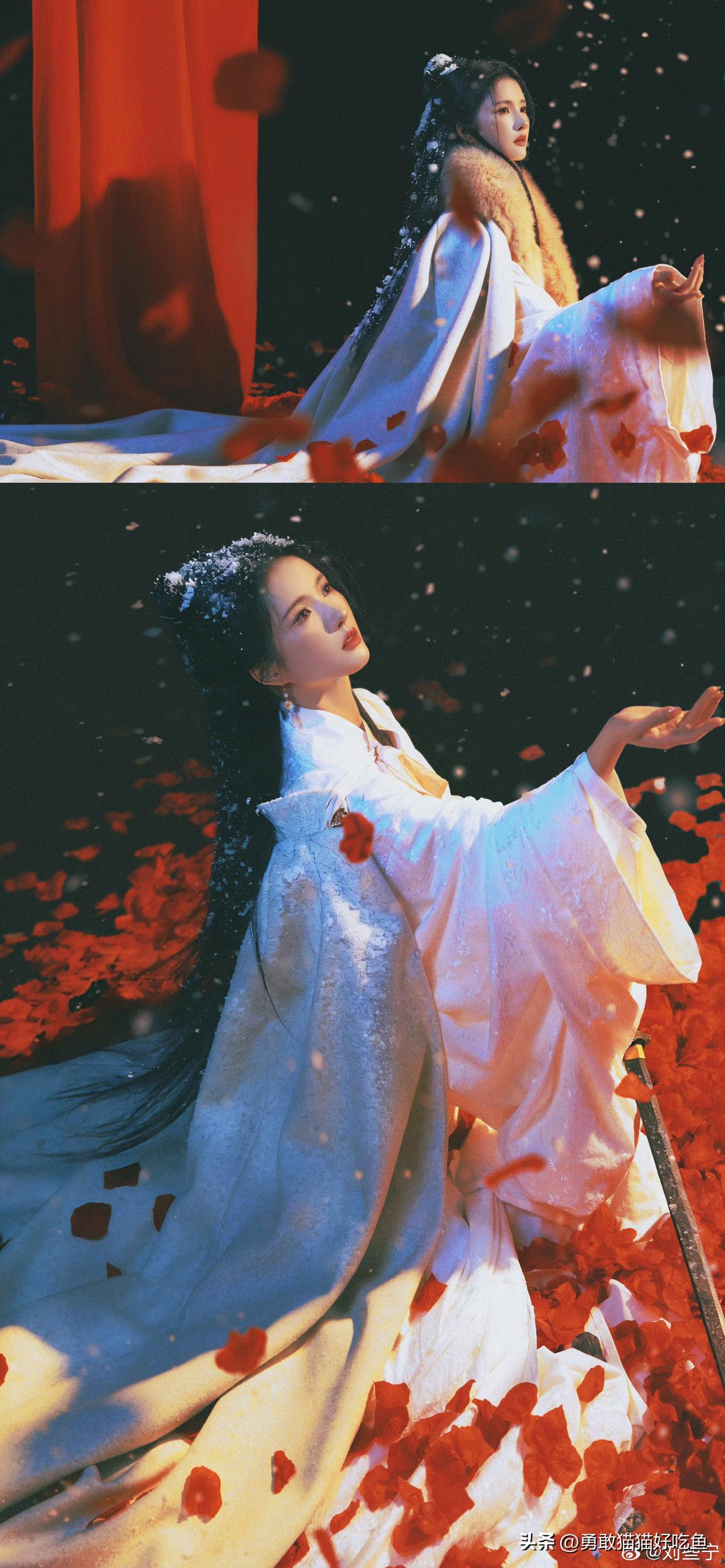 刘些宁分享图片