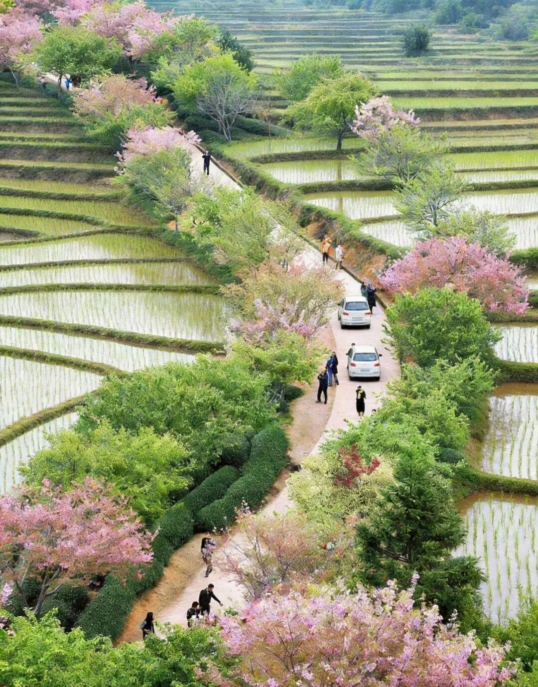 七律•十里春风
十里春风过眼驰，裁红剪绿总相宜。
穿花蛱蝶深深见，点水蜻蜓款款嬉