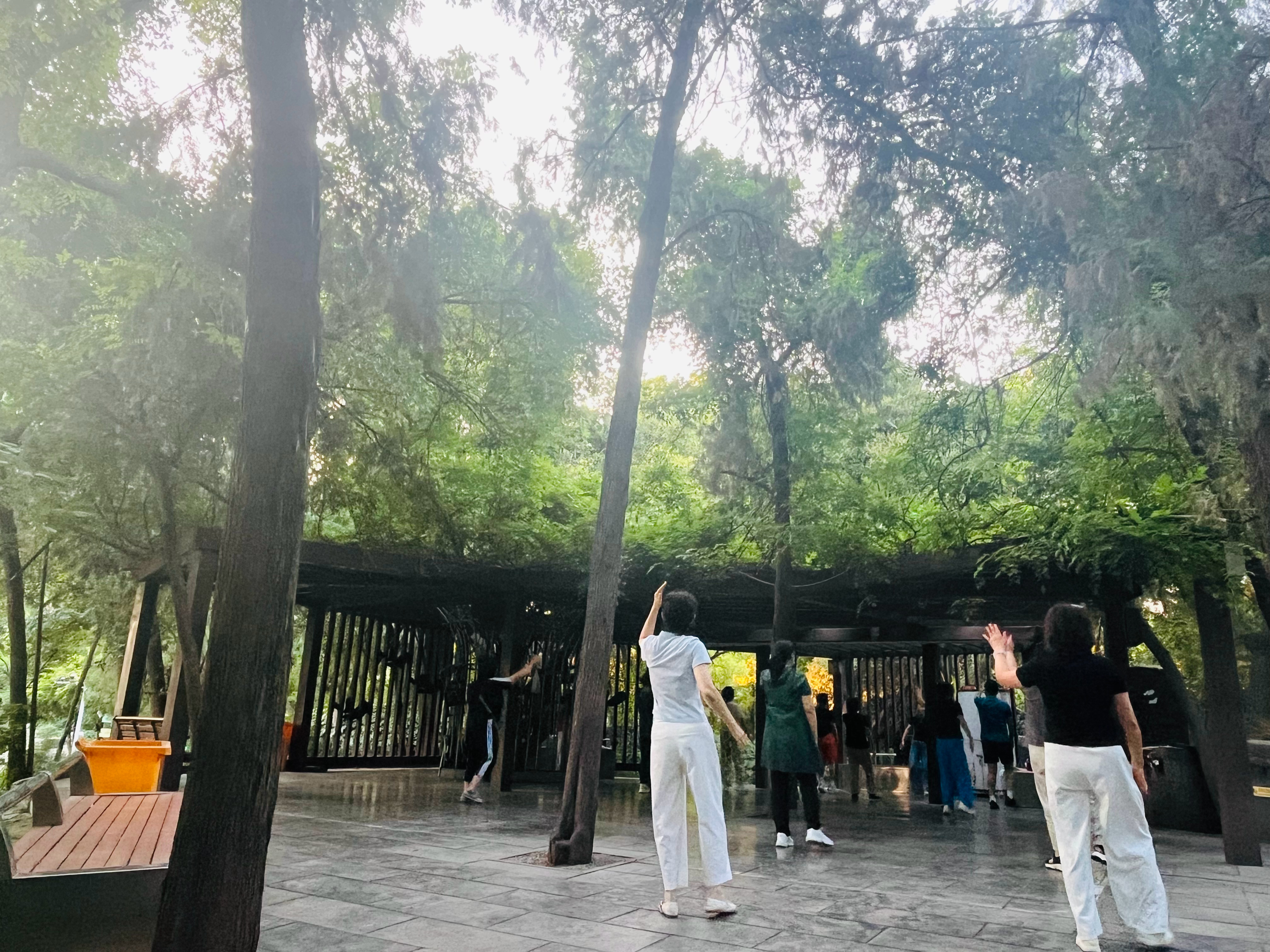 傍晚的公园老人锻炼小孩玩耍年轻人拍照平顶山捉蝉1户1晚赚300这收入可以，我在浪