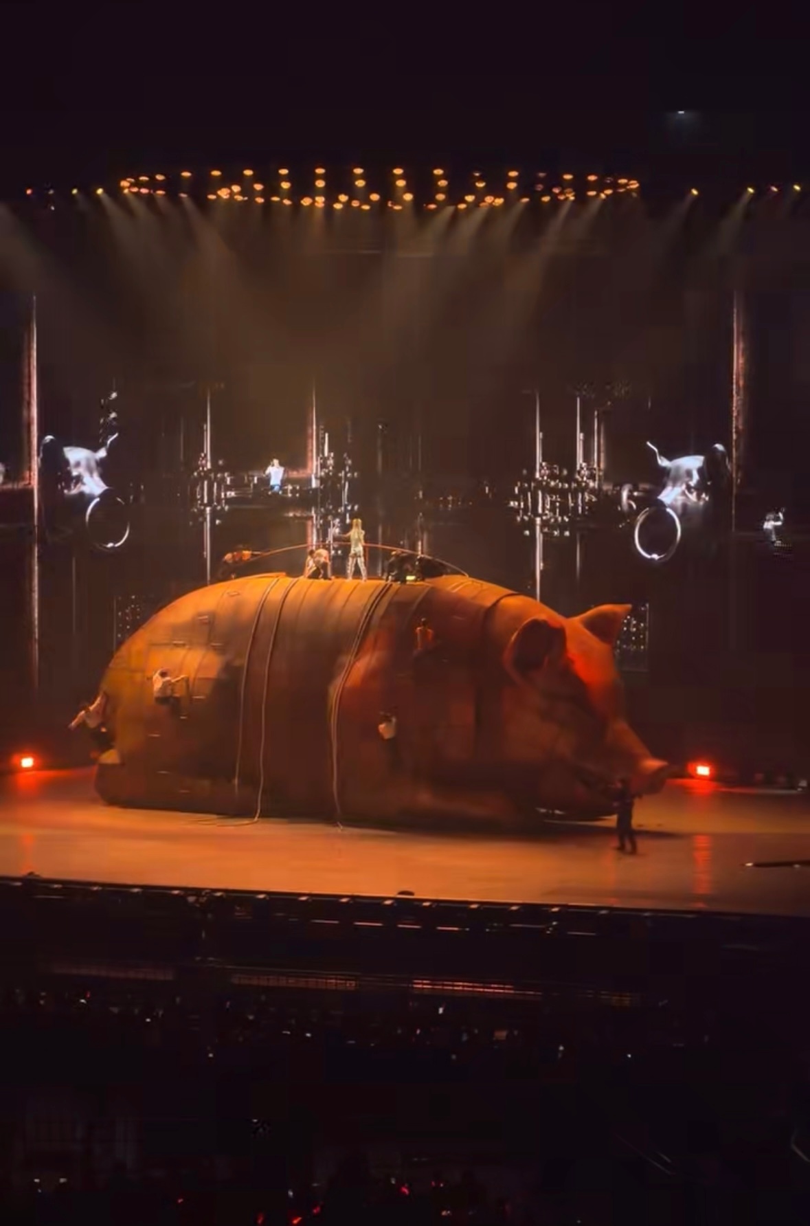 以后蔡依林和那英除了都是金曲歌后以外将拥有另一个共同点：都骑过猪蔡依林pleas