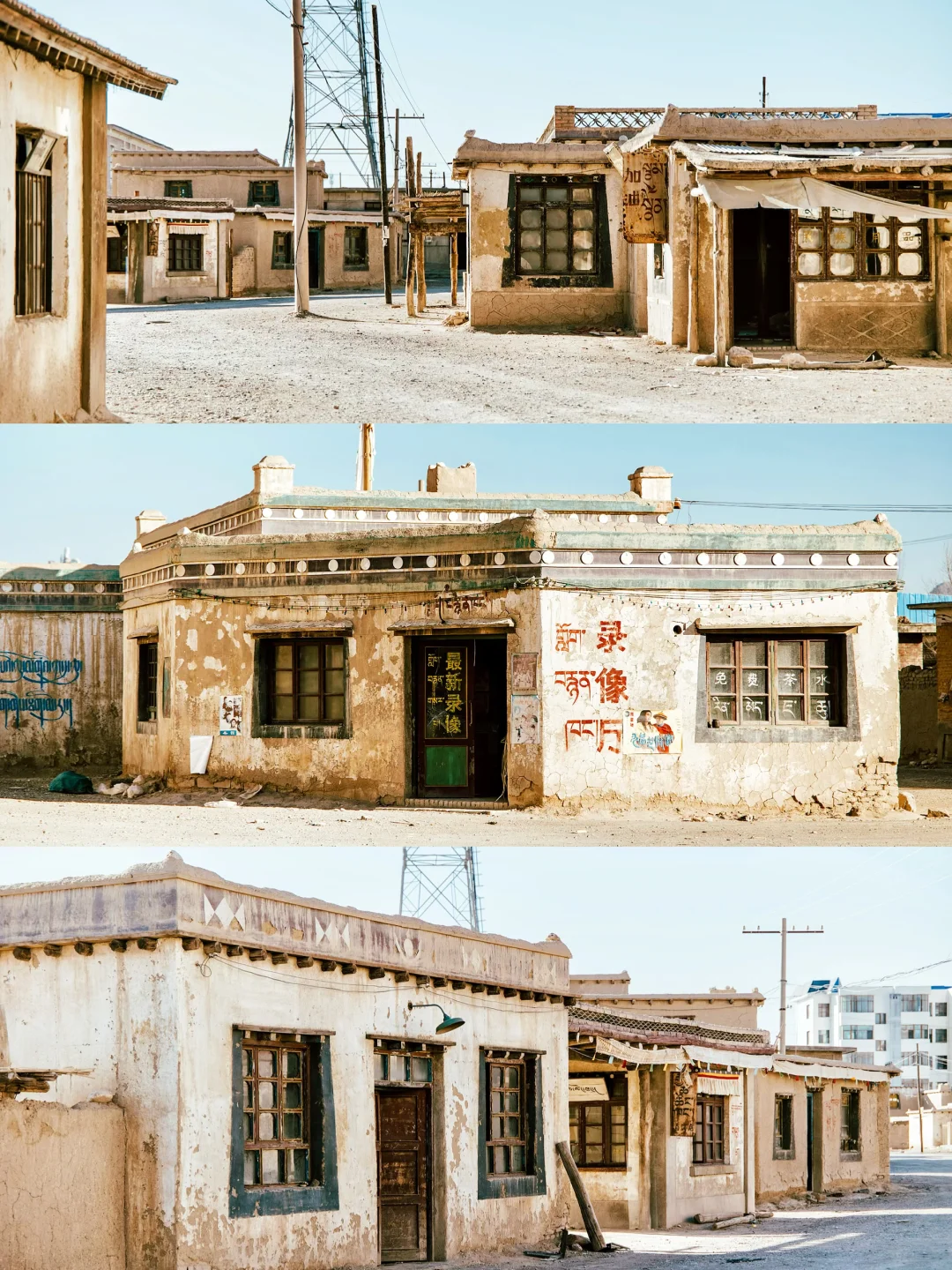 在《生命树》开播前，我意外去了她的取景地