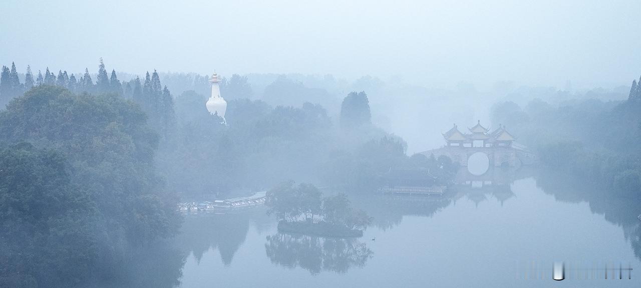 深秋+雾天的扬州瘦西湖，直接把江南意境拉满到极致！
 
晨雾像柔纱裹着园区，金黄