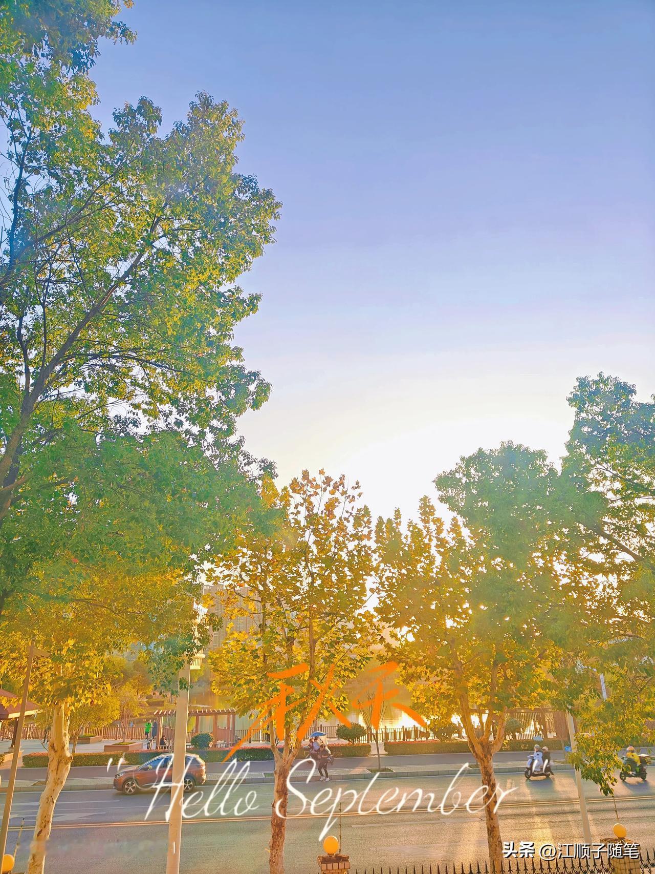 这个秋天，我从住了十几年的广东搬来了陌生又熟悉的武汉。

仔细想来，这是我第一次