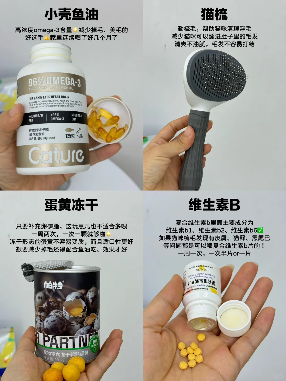 宠物掉毛喂这些，十几天上岸（猫狗适用）