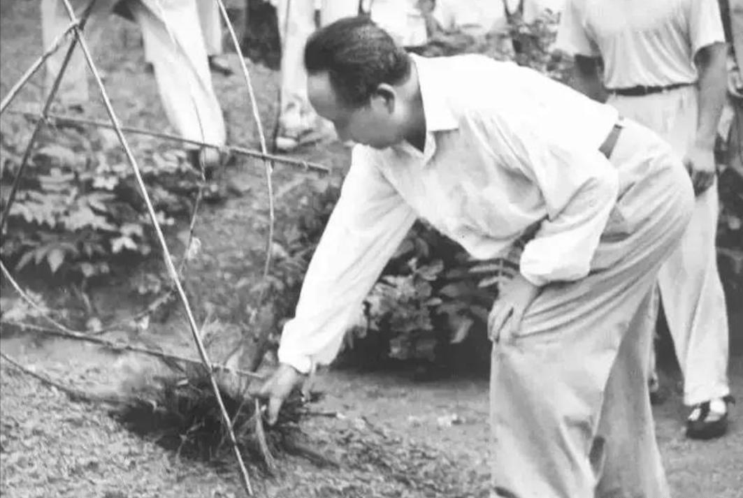 1959年，毛主席回到了韶山。发现父母的坟墓因缺乏维护，已经破烂不堪。面对身边人
