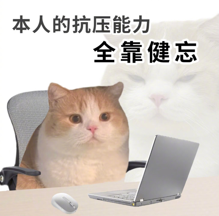 我的职场人设全靠钝感力支撑职场职场那些事儿