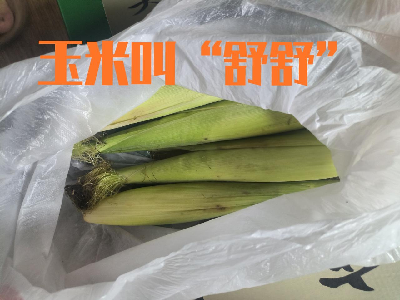 玉米你们那里叫什么呢？玉米我们河南洛阳农村叫“舒舒”，你们那边把玉米叫什么？