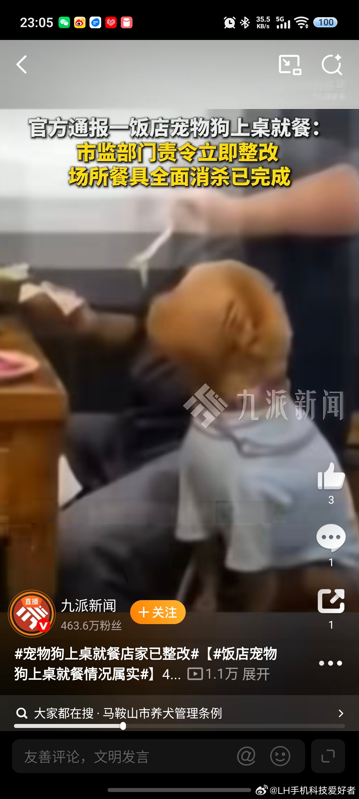 官方通报一饭店宠物狗上桌就餐出门遛狗我能理解，但把狗带进餐厅并且还让狗上桌就餐我