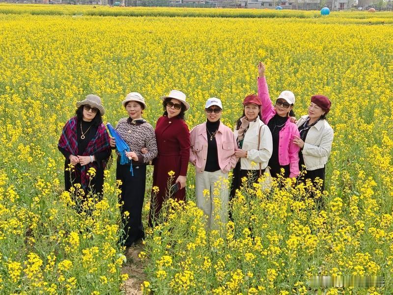 春日生活打卡季 春日生活打卡季，感觉整个世界都变得美好起来了。风是暖的，轻轻拂过