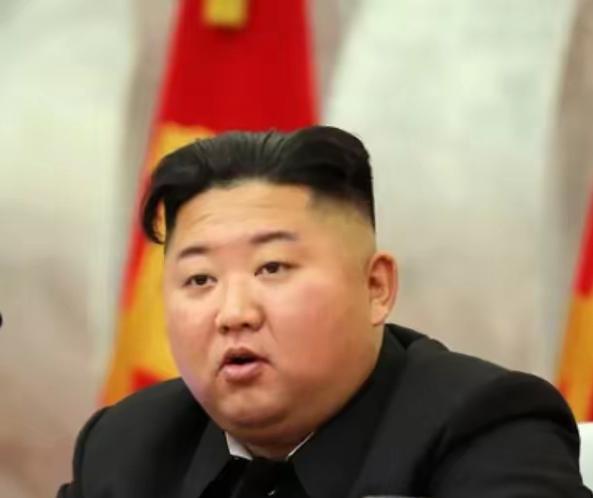 12月21日，朝鲜外务省日本研究所所长发布声明，在声明中认定日本是