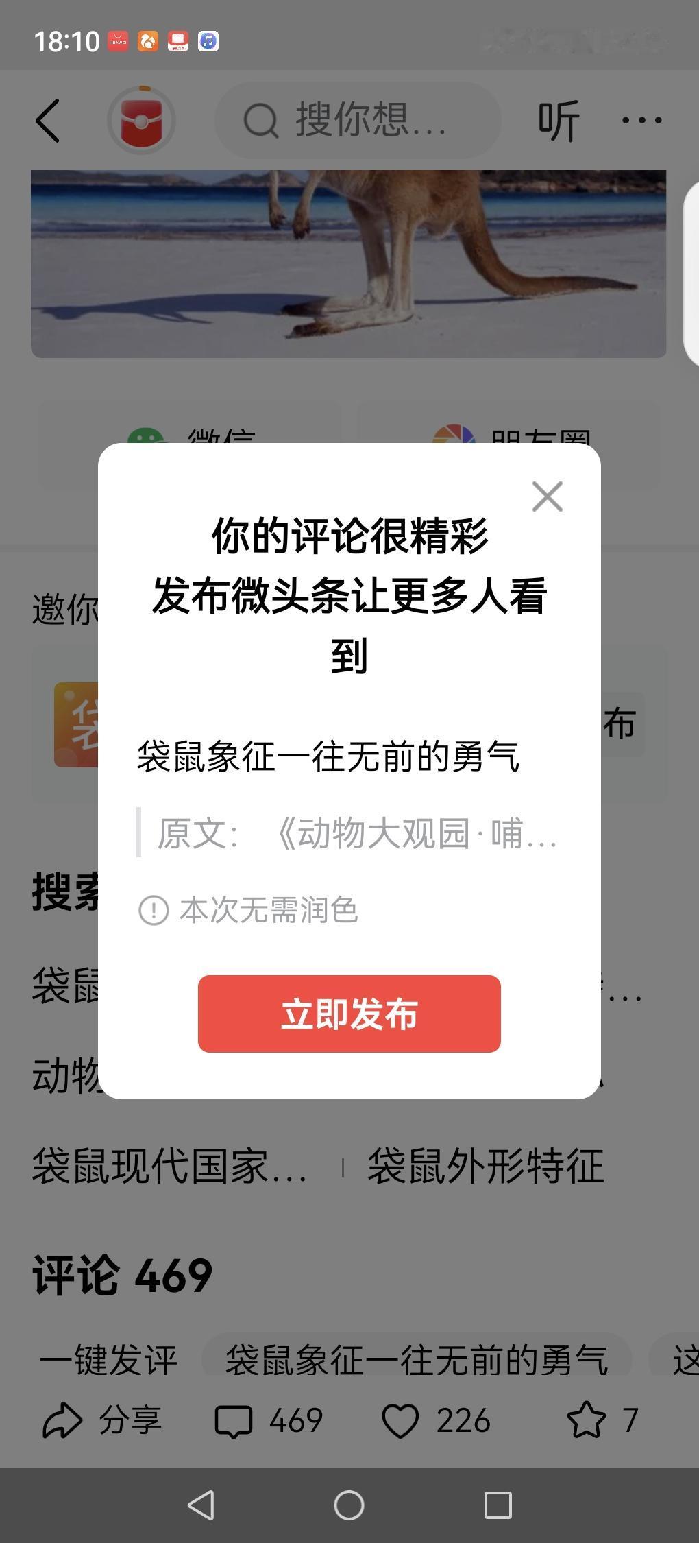 袋鼠象征一往无前的勇气