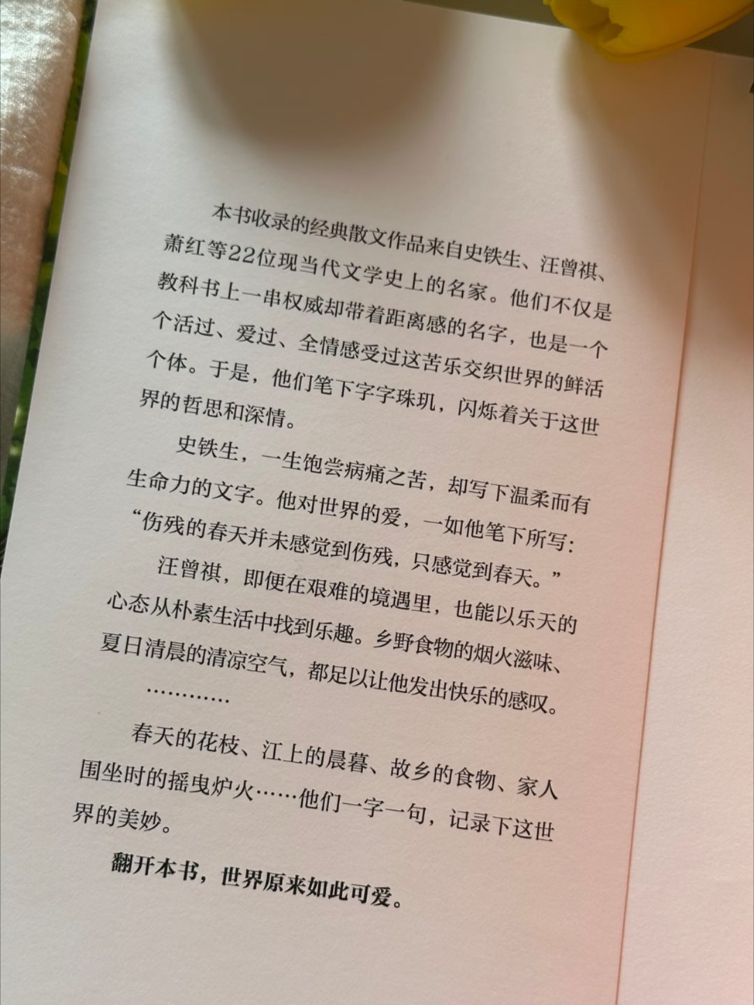 怎么会有这么治愈的书啊！我真的太太爱了 
