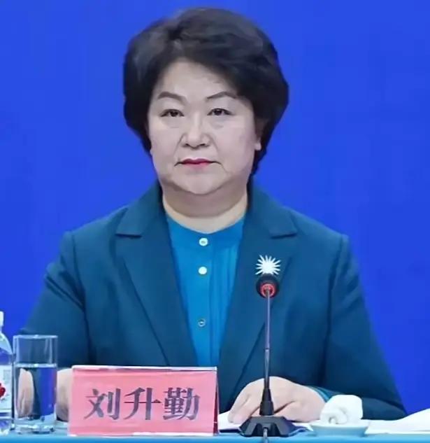 二十六年基层摸爬滚打，长达十年厅官任期，刘升勤没能等来期盼中的高额养老金！
  