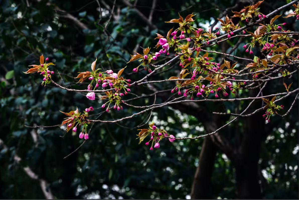 人到中年才懂，最好的亲情，是互不打扰的牵挂
 
人这一辈子，越往上走，越能看清生