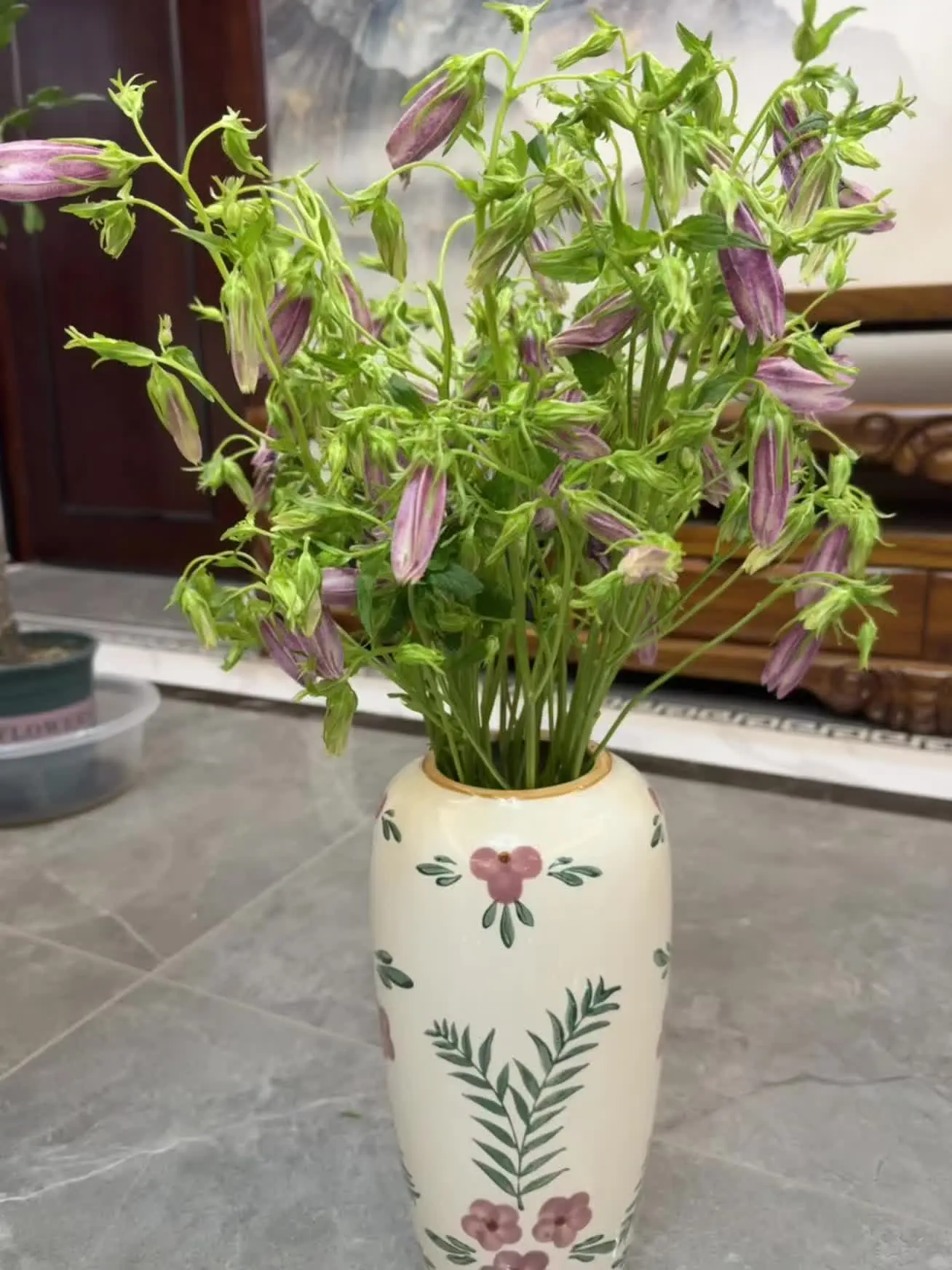 我的日常 每日一花 花