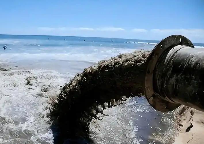 日本排放核水后，刚开始各国对其海鲜避之不及，如今2年过去，核水已污染很多海域，为