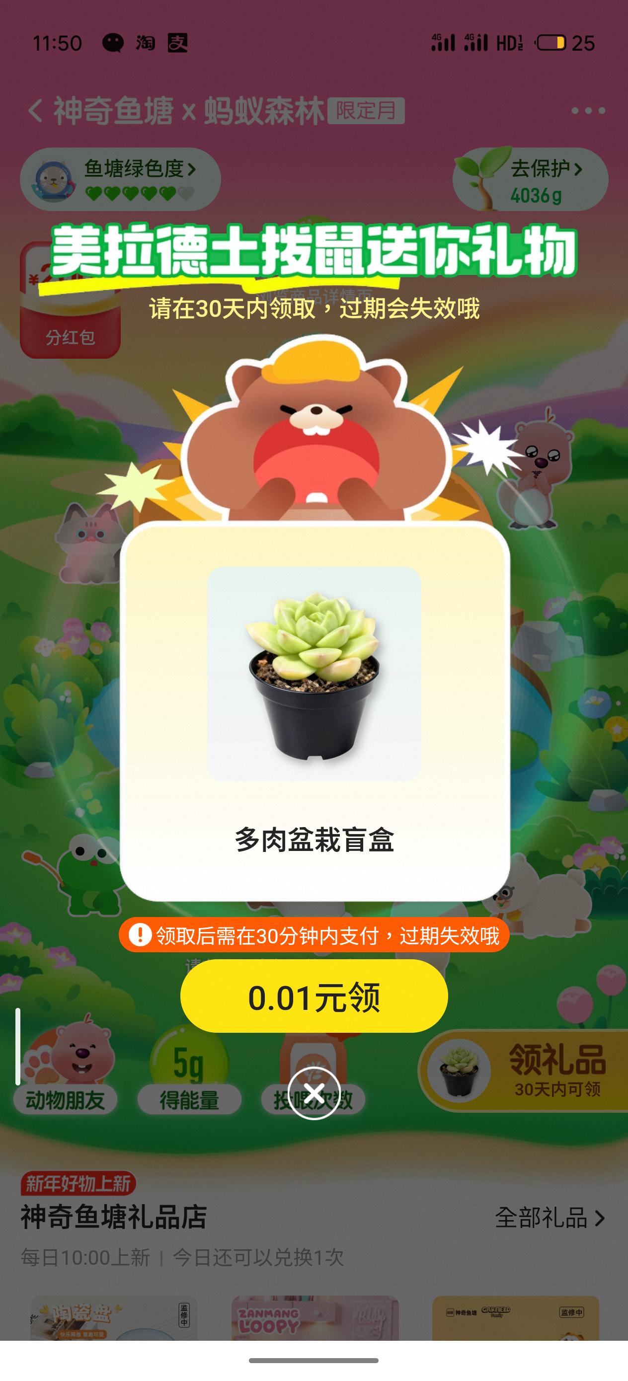 ye(σ≧∀≦)σ
多肉盲盒
继续