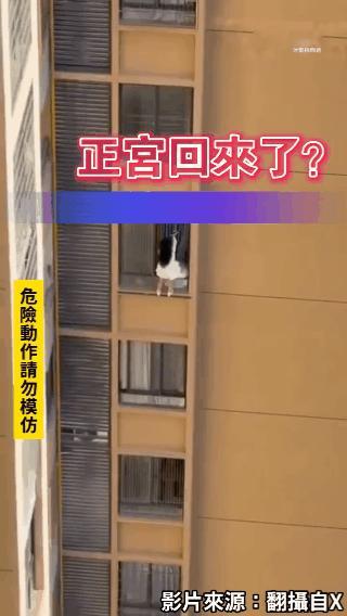 太危险了！就不怕一失足成千古恨？

徒手爬出来，沿着窗台最后又爬到隔壁去！没有任