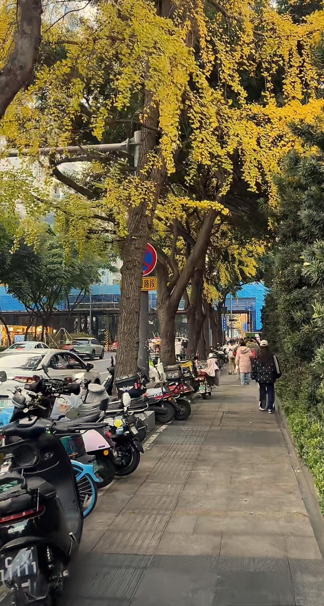 走过很多城市，我感觉成都的交通硬件配套建设堪称前列。这不仅体现在成都的公交、地铁