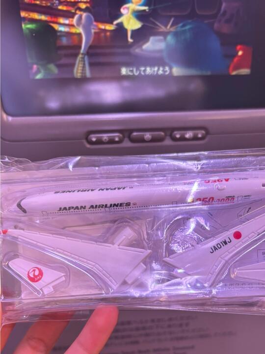 看看JAL给我干哪儿来了
