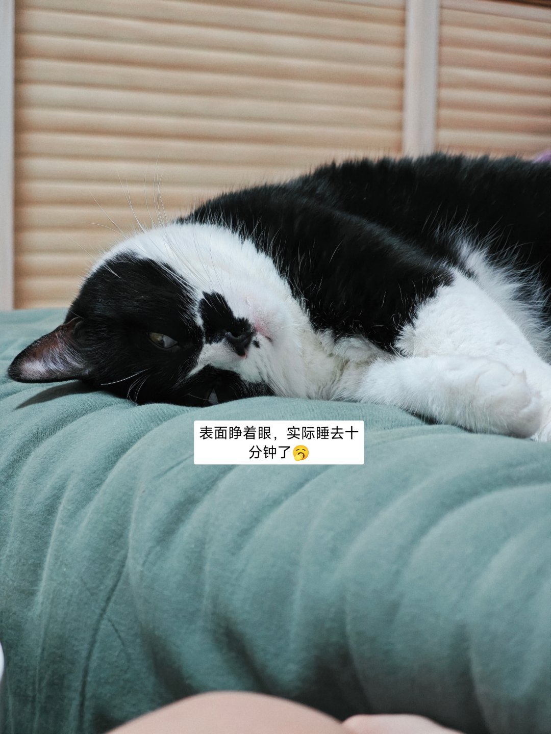 太喜欢这个十一假期了，虽然打了疫苗精神头不好，但是其他都很好。没有饭局，没有应酬