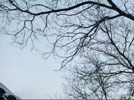 每日一善，如同播种希望，总有一天，会收获满满的幸福果实￼。 